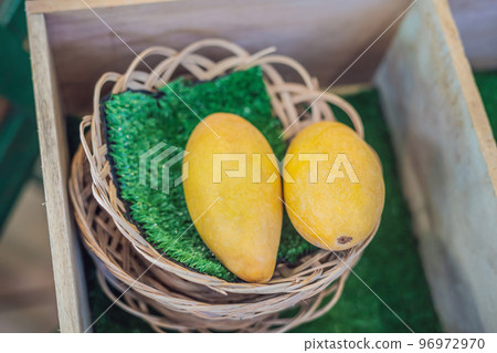 Yellow Mango on market - exotic thai fruits Yellow Mango on market - exotic thai fruits 96972970