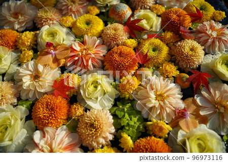 五顏六色的花 chozubachi, 行田市, 埼玉縣, 日本, 插花, 鮮花, 很多花, 花 chozubachi, chozubachi, 鮮花, 馬蹄蓮 96973116