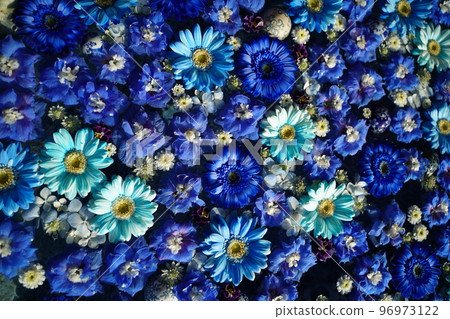 五顏六色的花 chozubachi, 行田市, 埼玉縣, 日本, 插花, 鮮花, 很多花, 花 chozubachi, chozubachi, 鮮花, 馬蹄蓮 五顏六色的花 chozubachi, 行田市, 埼玉縣, 日本, 插花, 鮮花, 很多花, 花 chozubachi, chozubachi, 鮮花, 馬蹄蓮 96973122