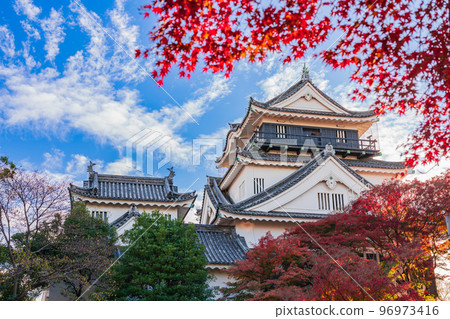 秋天的岡崎城<愛知縣岡崎市> 秋天的岡崎城<愛知縣岡崎市> 96973416