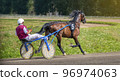 Jockey and horse. Trotting horse race. Race in harness with a sulky or racing bike. Harness racing. Trotting horse race. Sport banner 96974063