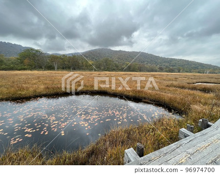 多雲的尾瀨原 多雲的尾瀨原 96974700