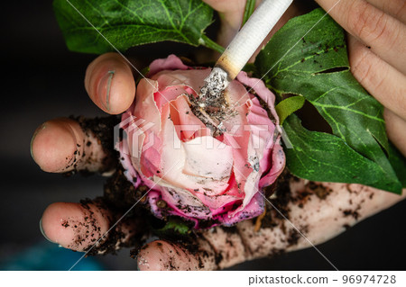 Cigarette dumping ash on an artificial flower. Concept of enviromental pollution. 96974728