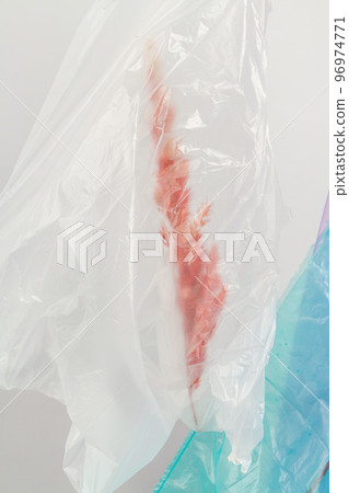 Close up red spikelet in a plastic bag. Enviroment pollution problem. Close up red spikelet in a plastic bag. Enviroment pollution problem. 96974771