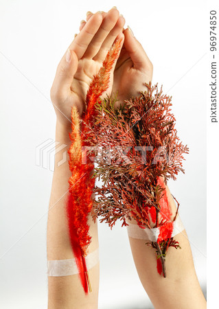 Concept of trees as a plannet vital resoruce. Vertical shot white background. 96974850