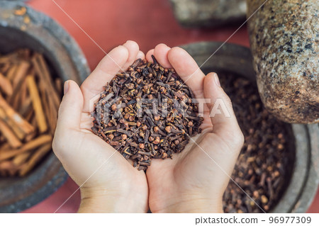 Carnation seasoning in female hands, carnation grains, herbal medicinal herbs, dry carnation grains in a dish Carnation seasoning in female hands, carnation grains, herbal medicinal herbs, dry carnation grains in a dish 96977309