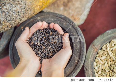 Black pepper in female hands on a background of spices Black pepper in female hands on a background of spices 96977312