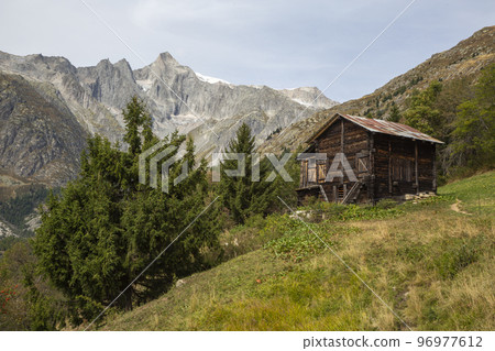 Alpine meadow not far from Fieschertal (Valais, Switzerland) 96977612
