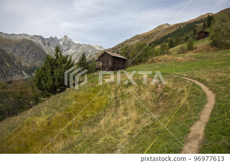 Alpine meadow not far from Fieschertal (Valais, Switzerland) 96977613