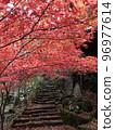 Autumn leaves of stone steps 96977614