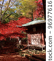 Oyama autumn leaves 96977616