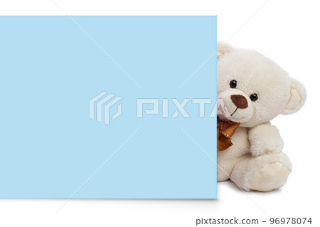 Teddy bear with blank space for commercial graphycs 96978074