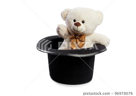 Isolated teddy bear with giant black hat 96978076