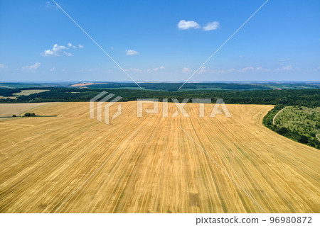 Aerial landscape view of yellow cultivated agricultural field with dry straw of cut down wheat after harvesting Aerial landscape view of yellow cultivated agricultural field with dry straw of cut down wheat after harvesting 96980872