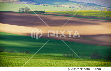 Picturesque and beautiful fields of South Moravia 96981099