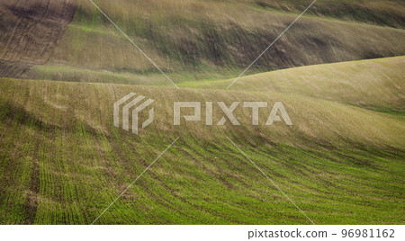 Picturesque and beautiful fields of South Moravia Picturesque and beautiful fields of South Moravia 96981162