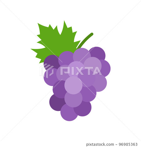 Grapes icon. Bunch of purple grapes with stem and leaf. Grapes icon. Bunch of purple grapes with stem and leaf. 96985363