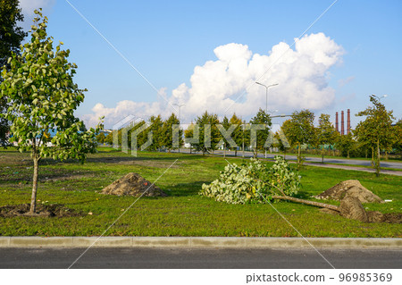 Planting of new trees in the improvement of the surrounding environment of a new industrial facility Planting of new trees in the improvement of the surrounding environment of a new industrial facility 96985369