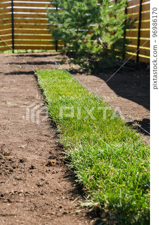Rolls of lawn grass on sunny day - country house and landscape design Rolls of lawn grass on sunny day - country house and landscape design 96986170