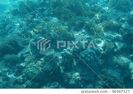 The sea of Okinawa The sea of Okinawa 96987327