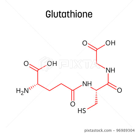 Glutathione molecular structure. Glutathione is an antioxidant in plants, animals, fungi, bacteria and archaea. Vector structural formula of chemical compound with red bonds and black atom labels. Glutathione molecular structure. Glutathione is an antioxidant in plants, animals, fungi, bacteria and archaea. Vector structural formula of chemical compound with red bonds and black atom labels. 96989304