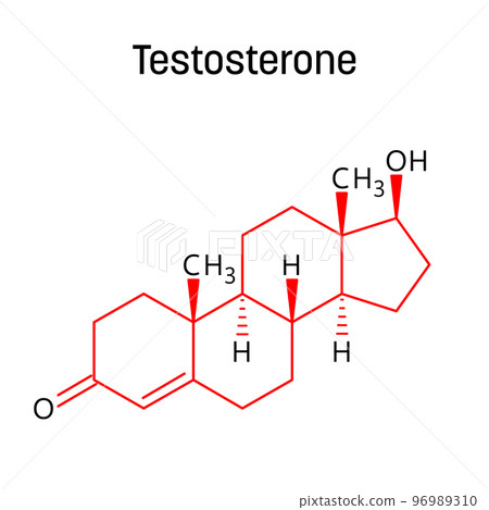 Testosterone molecular structure. Testosterone is the primary sex hormone and anabolic steroid in males. Vector structural formula of chemical compound with red bonds and black atom labels. 96989310