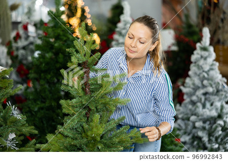 Female buying artificial tree at Christmas Fair Female buying artificial tree at Christmas Fair 96992843