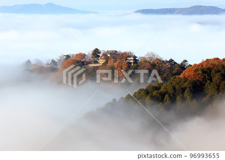 Castle in the Sky 6637 96993655