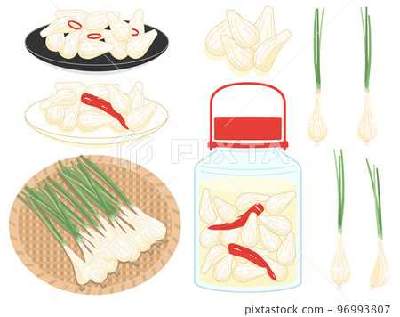 A set of illustrations of sweet and sour pickled shallots and shallots 96993807
