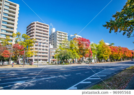 從小網町十字路口向東眺望和平紀念公園。請欣賞和平大道美麗的秋葉。廣島 96995568