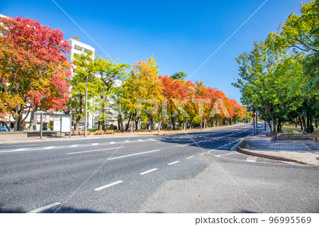 從小網町十字路口向東眺望和平紀念公園。請欣賞和平大道美麗的秋葉。廣島 96995569