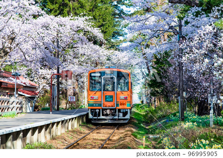 青森縣津輕鐵道～櫻花盛開的蘆野公園～ 96995905