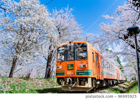 青森縣津輕鐵道～櫻花盛開的蘆野公園～ 96995925