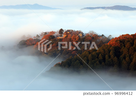 Castle in the Sky 6492- 96996412