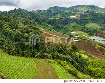 Deforestation are the anthropogenic source of atmospheric carbon dioxide emissions cause of climate change. Deforestation are the anthropogenic source of atmospheric carbon dioxide emissions cause of climate change. 96997641