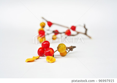 Red thorn berries (winter, December) Red thorn berries (winter, December) 96997915
