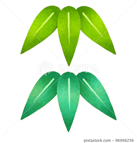 Bamboo leaf  96998256