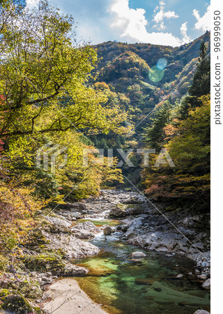 《岐阜縣》江名市神谷萩町植村河與紅葉 96999050