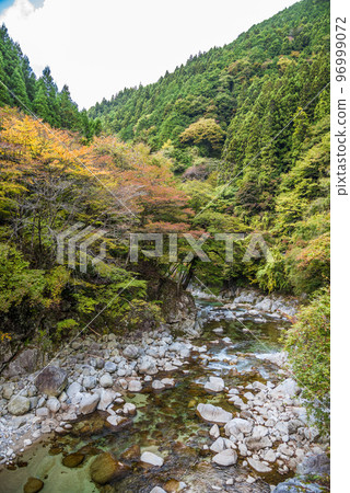 《Nagano Prefecture》Gokengoya, Hiratani Village, Shimoina District, Hiratani River in autumn colors 96999072