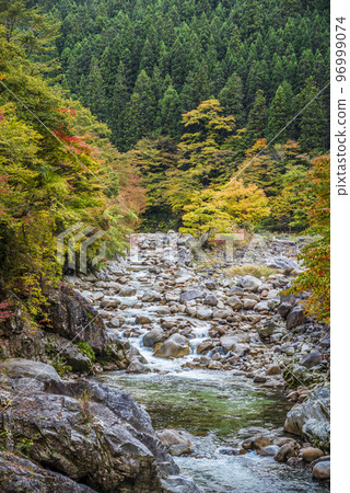 《Nagano Prefecture》Gokengoya, Hiratani Village, Shimoina District, Hiratani River in autumn colors 96999074
