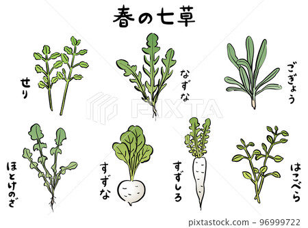 Illustration of the seven herbs of spring in color 96999722