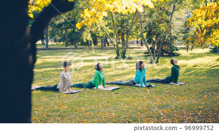 Active young people females are doing yoga practising sequence of asanas outdoors in park, women in group are wearing trendy sportswear and using mats. Hobby and sports concept. 96999752