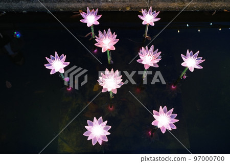 Ashikaga Flower Park, illumination, Ashikaga, Tochigi Prefecture, Japan, Christmas, decoration, Ashikaga Flower Park, illumination, Ashikaga, Tochigi Prefecture, Japan, Christmas, decoration, 97000700