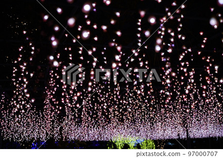 足利花卉公園,燈飾,日本栃木縣足利市,聖誕節,裝飾, 足利花卉公園,燈飾,日本栃木縣足利市,聖誕節,裝飾, 97000707