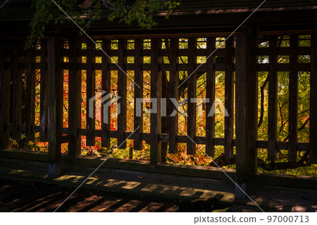 菊池神社的紅葉美景 菊池神社的紅葉美景 97000713