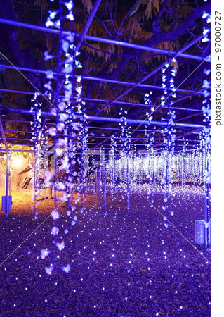 足利花卉公園，燈飾，日本栃木縣足利市，聖誕節，裝飾， 97000727