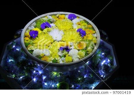 flower wash basin, illumination, flower, flowers, colorful, arrangement, lots of flowers, wash basin, flower wash basin, illumination, flower, flowers, colorful, arrangement, lots of flowers, wash basin, 97001419