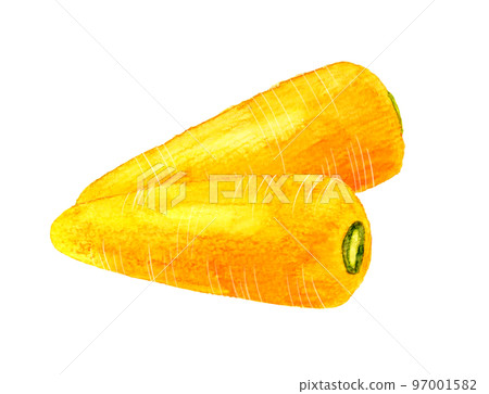 夏季蔬菜胡蘿蔔手繪水彩插畫素材 97001582