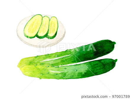 黃瓜和鹹菜夏季蔬菜&日本手繪水彩插畫素材 97001789