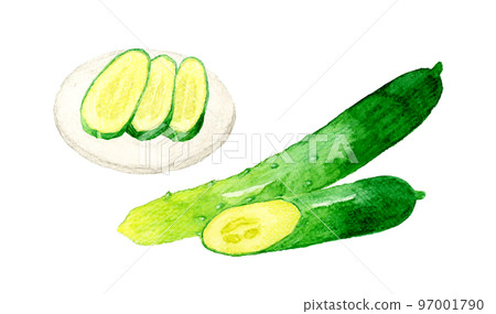 黃瓜和鹹菜夏季蔬菜&日本手繪水彩插畫素材 97001790